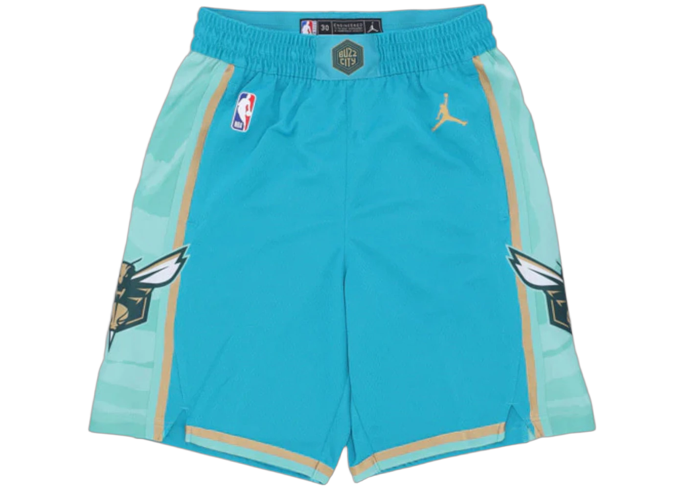 Nike NBA Charlotte Hornets City Edition 2023/24 Swingman shorts Teal/Club Gold