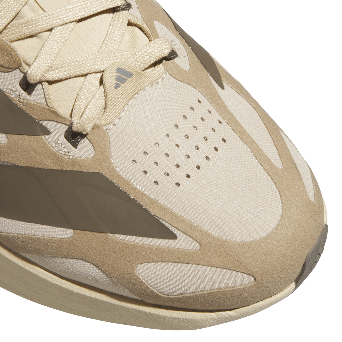 Adidas Adizero EVO SL EXO Suede Magic Beige Carbon Cardboard