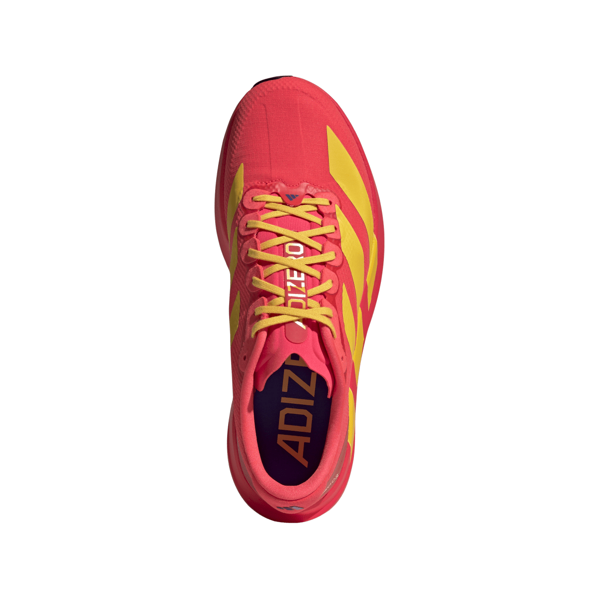 Adidas Adizero Evo SL Lucid Red Bold Gold