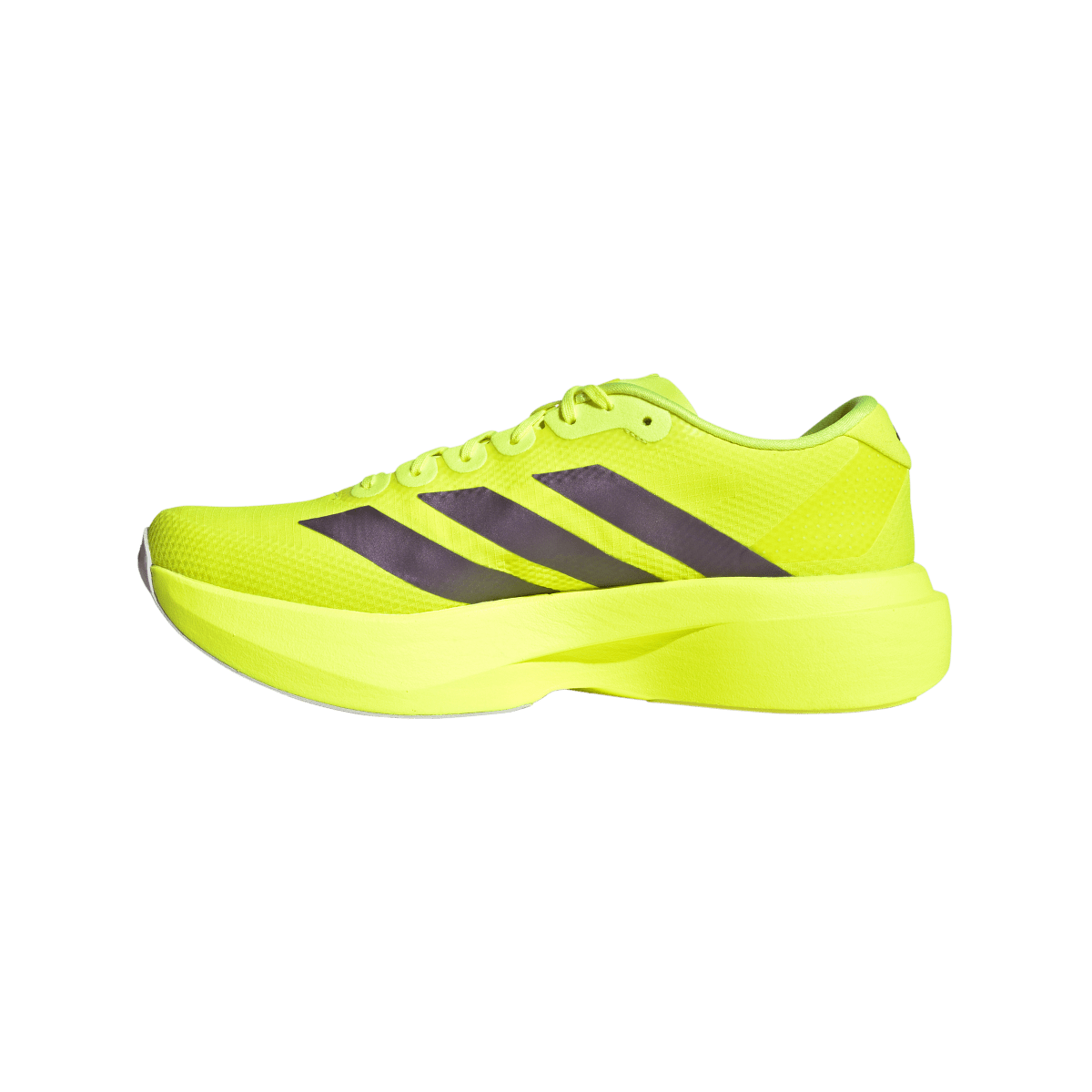 Adidas Adizero Evo SL Solar Yellow Plum