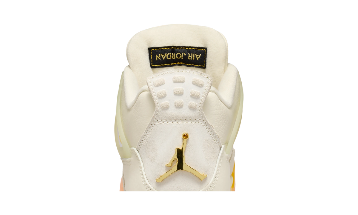 Air Jordan 4 Retro Birds of Paradise