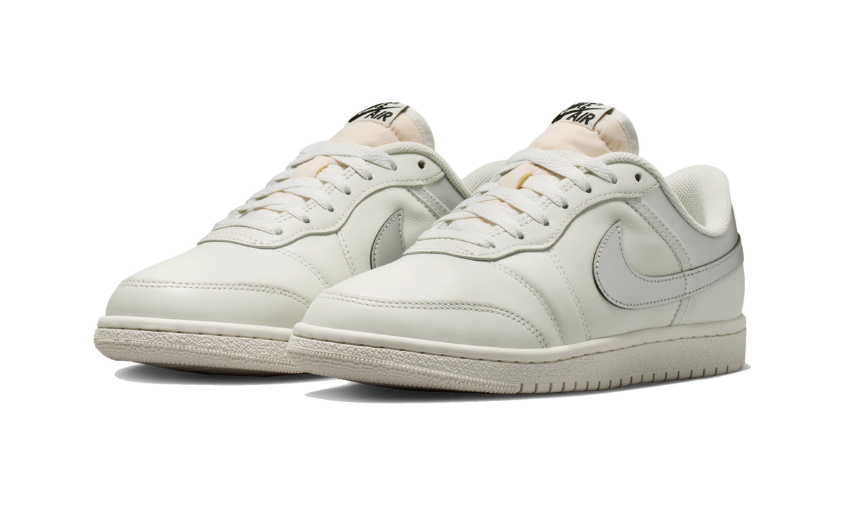 Air Jordan Skyline Low Swan Metallic Silver