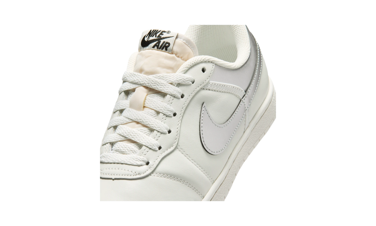 Air Jordan Skyline Low Swan Metallic Silver