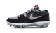 Air Jordan Stadium 90 Low TD Black Cement