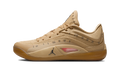 Air Jordan Zion 4 Voodoo