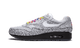 Nike Air Max 1 Tokyo Maze