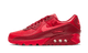 Nike Air Max 90 City Special Chicago