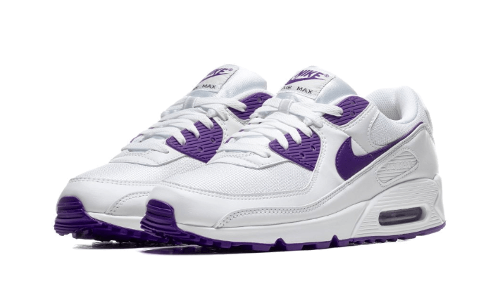 Nike Air Max 90 Color Pack Court Purple