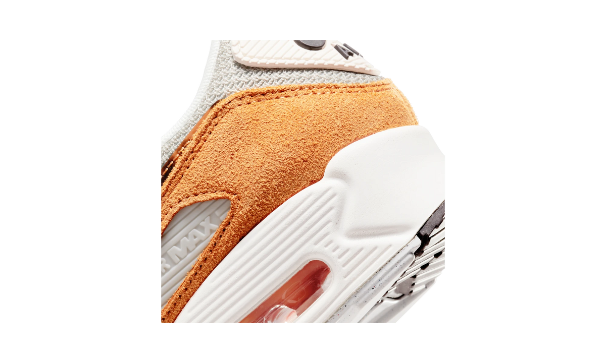Nike Air Max 90 Leopard (2022)