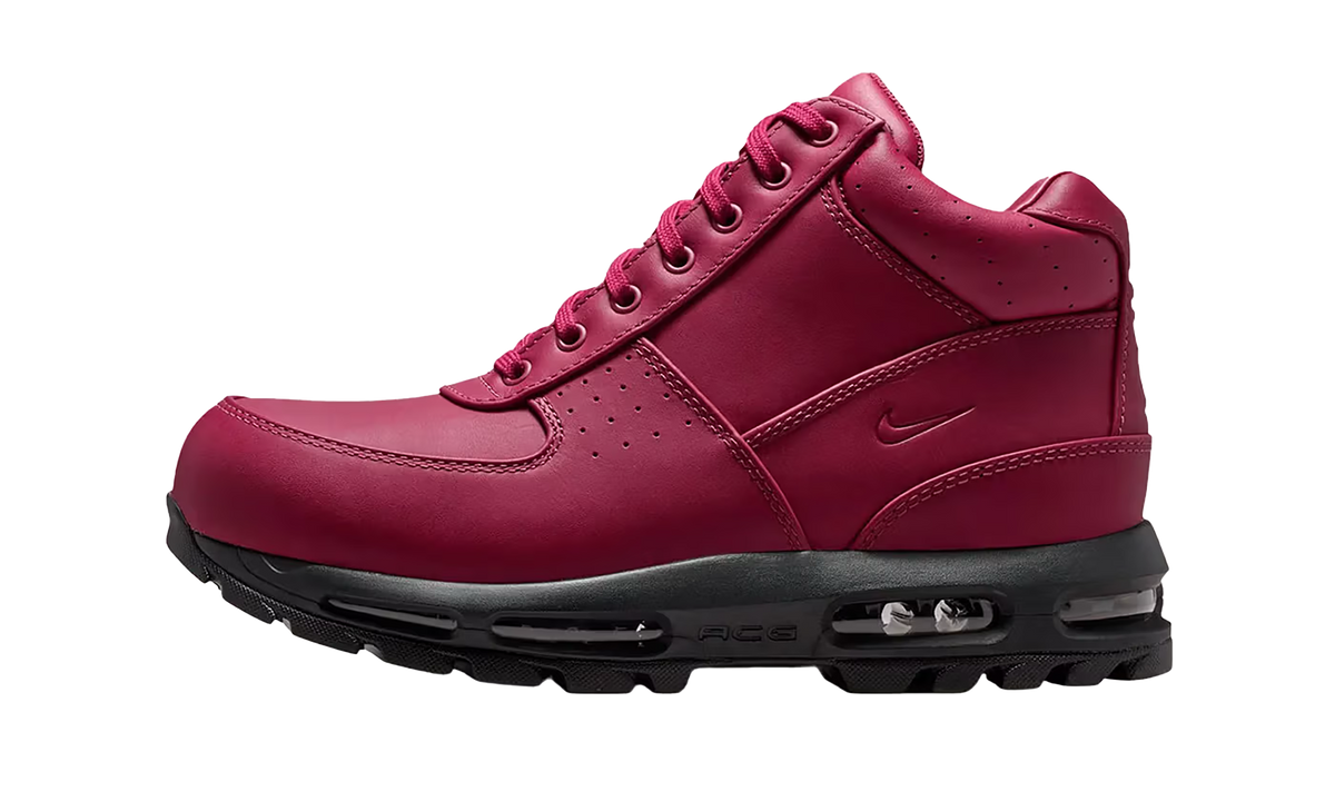Nike Air Max Goadome DMV