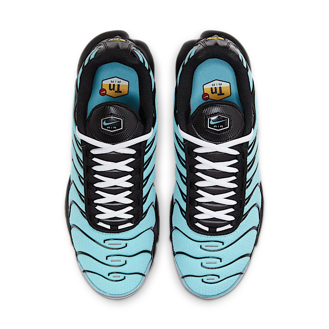 Nike Air Max Plus Aqua Blue, Aqua Blue/Black (CV8838-400)