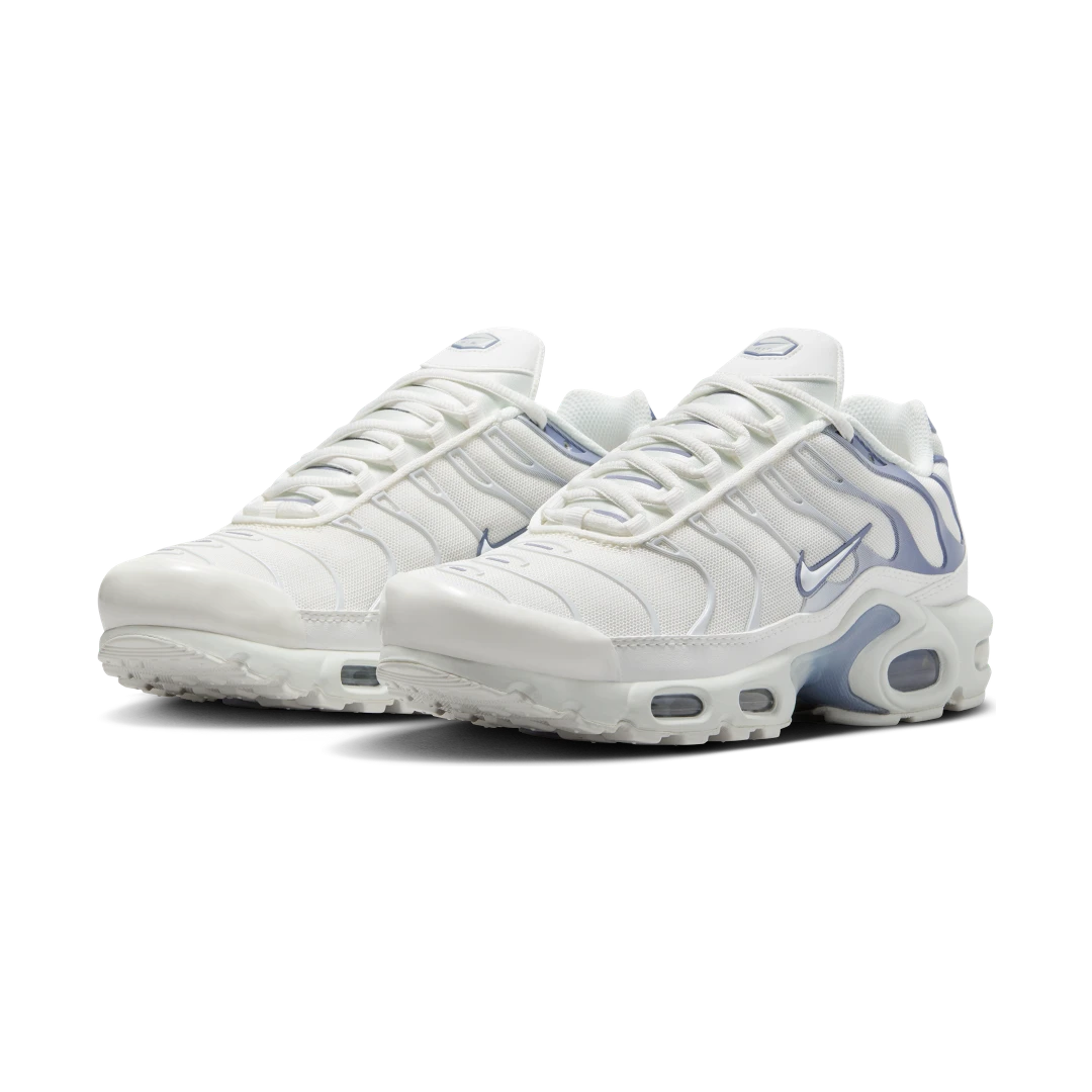 Nike Air Max Plus Ashen Slate