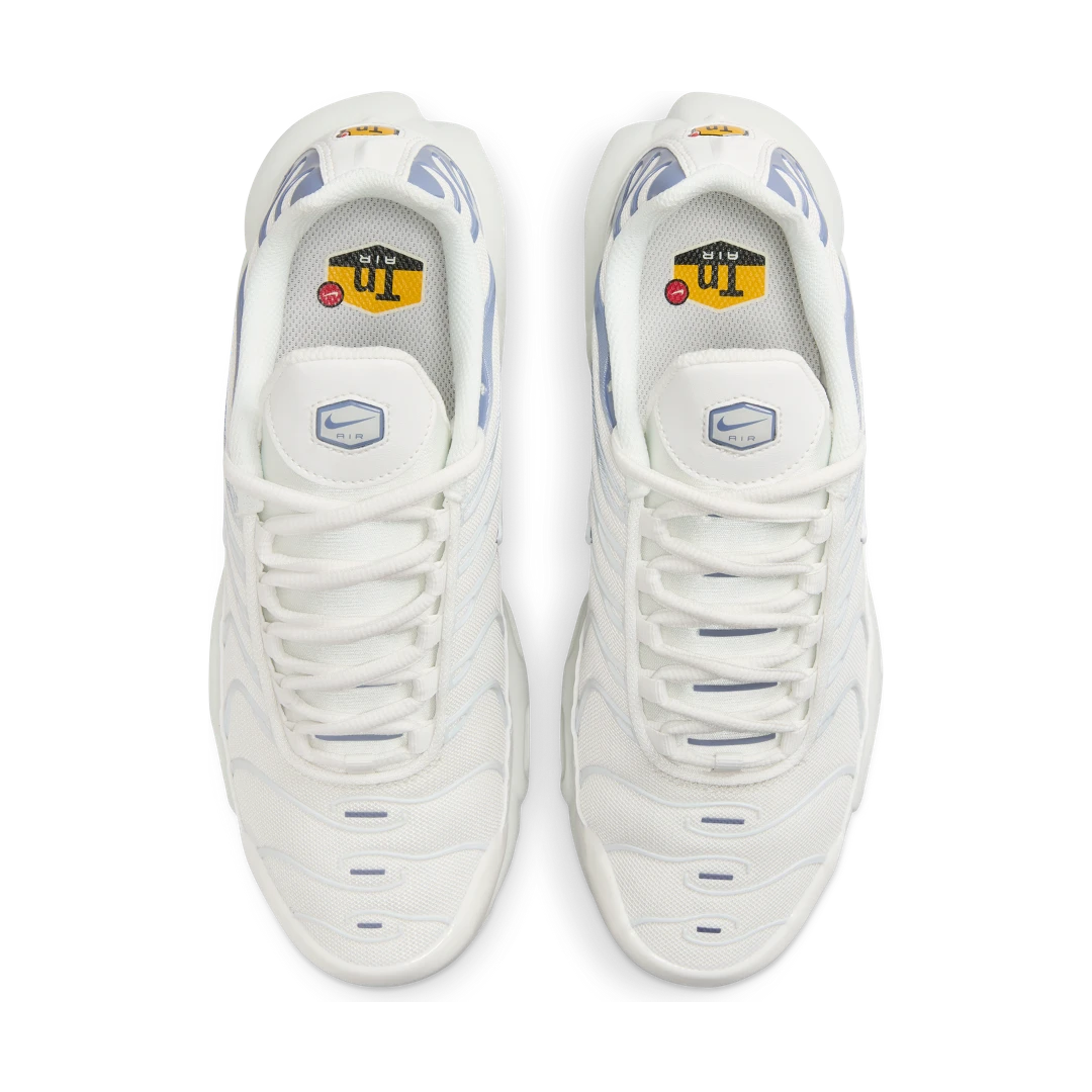 Nike Air Max Plus Ashen Slate, Summit White/Ashen Slate/Light Armory Blue (DZ3671-104)