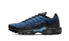 Nike Air Max Plus Black University Blue, Black/University Blue/Chlorophyll/Light Bordeaux (DV3493-001)