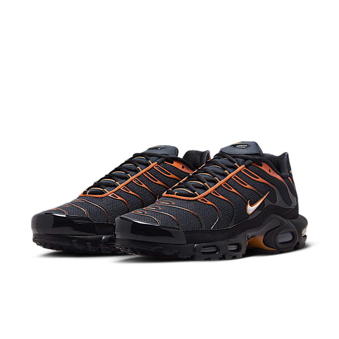 Nike Air Max Plus Dark Obsidian Monarch, Dark Obsidian/Monarch/Black/White (FN6949-400)