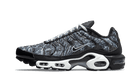 Nike Air Max Plus Dark Smoke Grey, Black/White-Dark Smoke Grey-Black (DO6384-001)