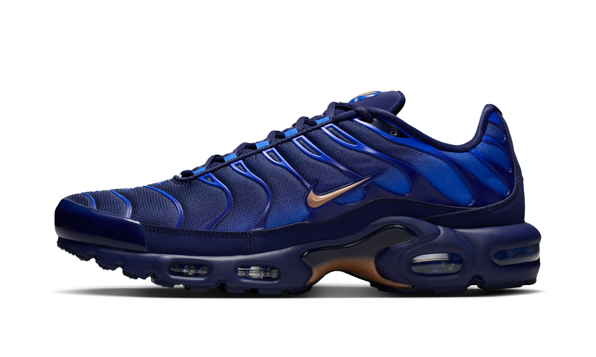 Nike Air Max Plus French Football Federation
