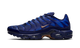 Nike Air Max Plus French Football Federation