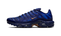 Nike Air Max Plus French Football Federation