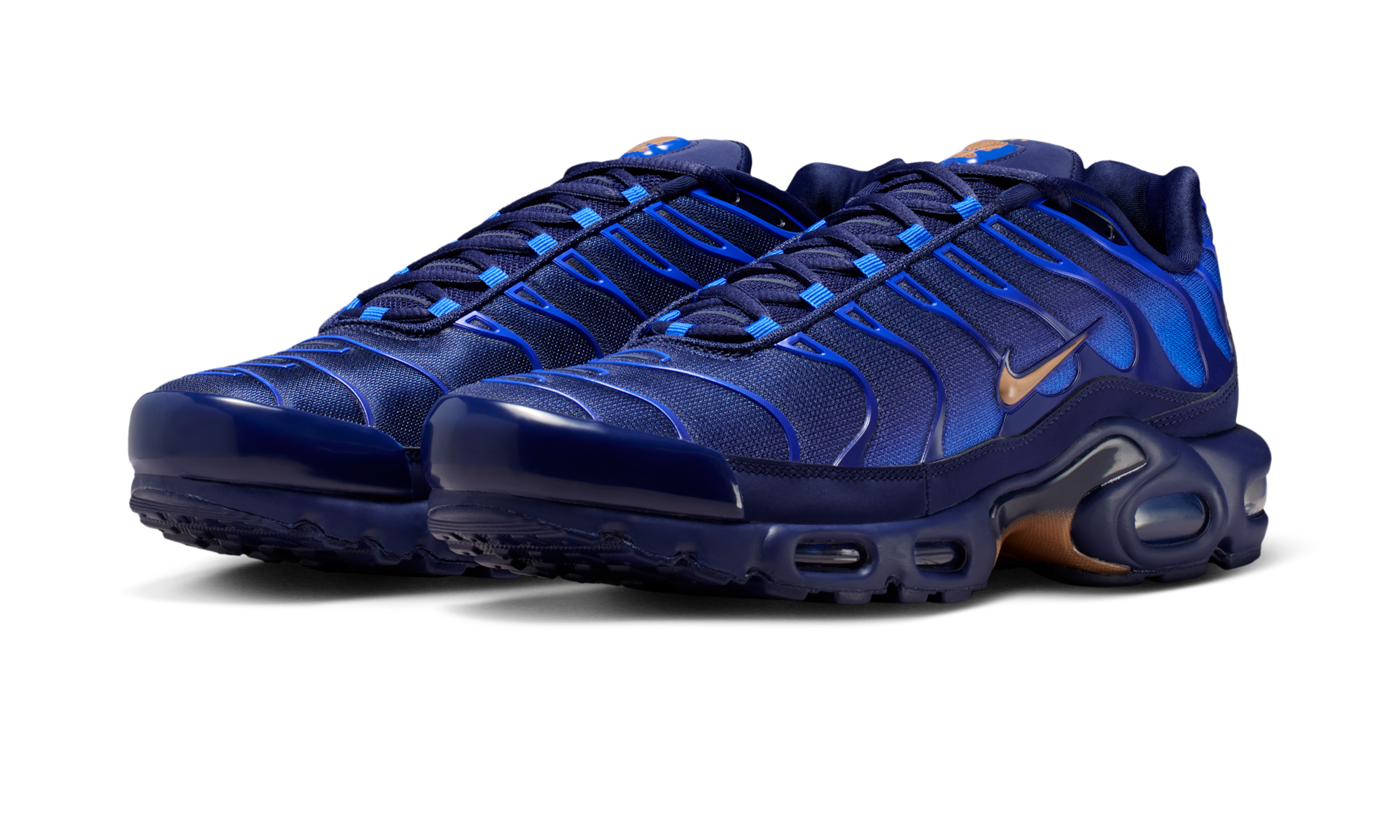 Nike Air Max Plus French Football Federation