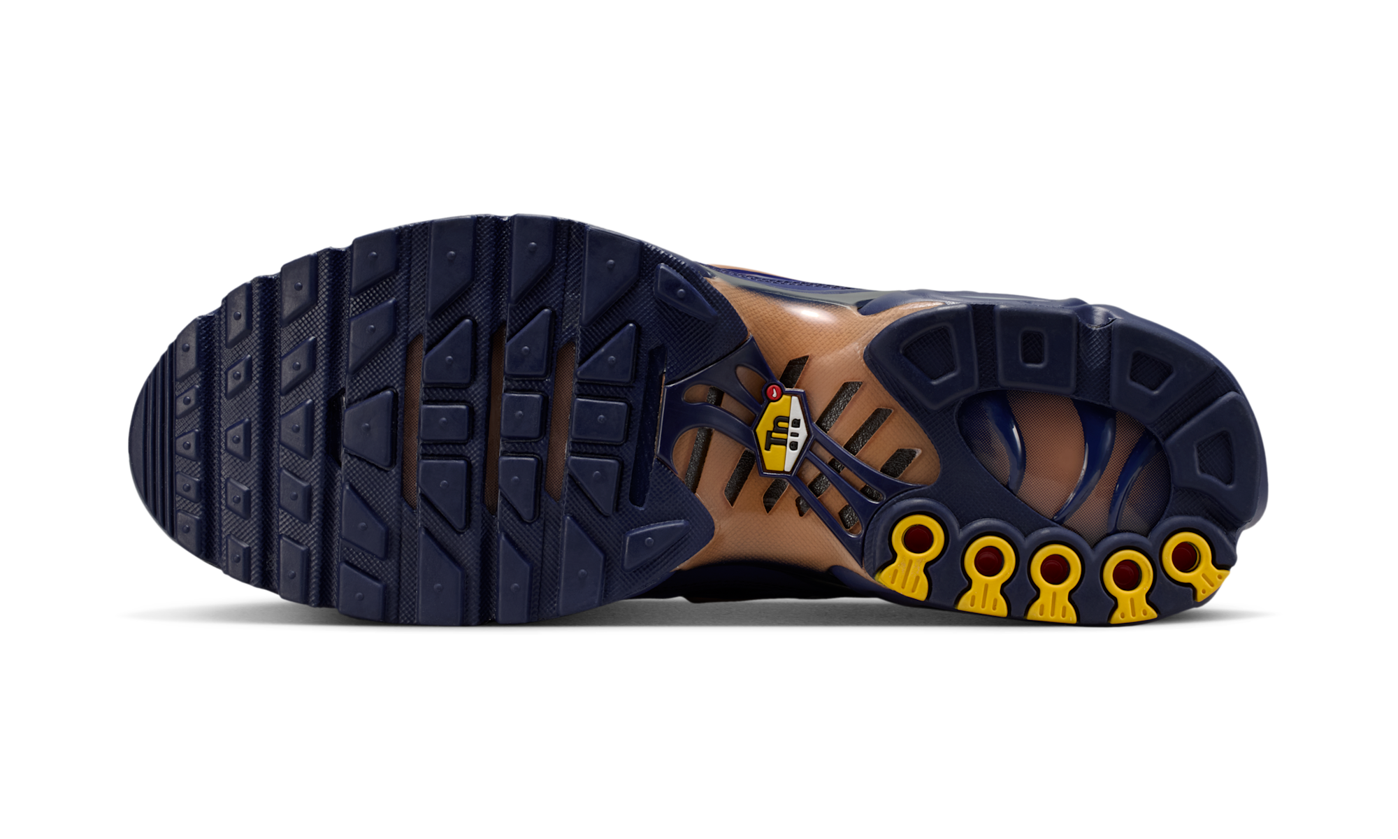 Nike Air Max Plus French Football Federation