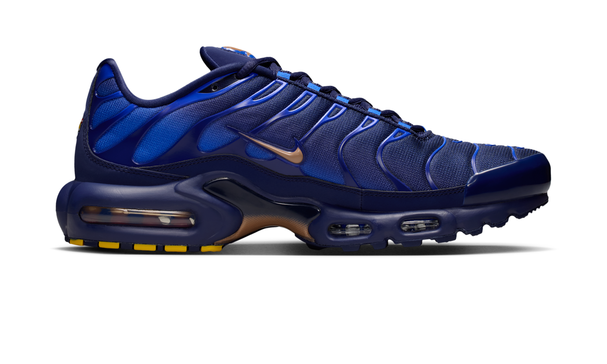 Nike Air Max Plus French Football Federation