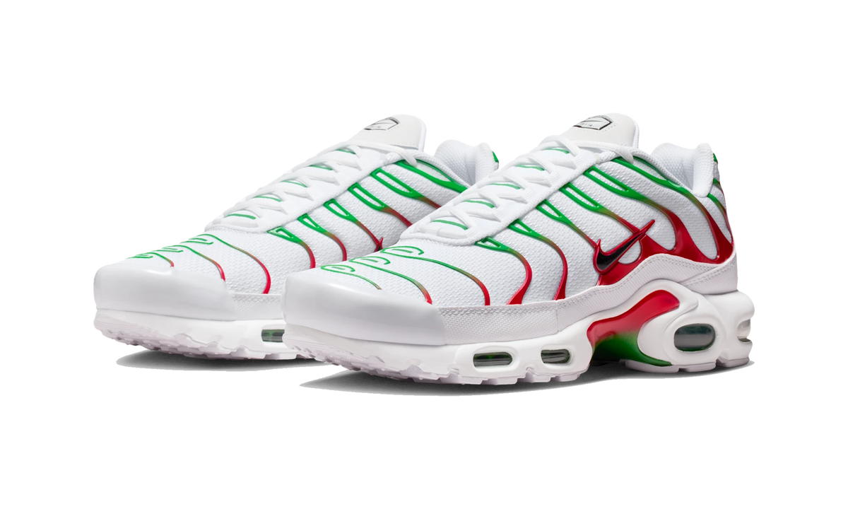 Nike Air Max Plus Italy