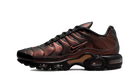 Nike Air Max Plus OG Scarab (2022), Black/Metallic Copper/Metallic Gold (DH4778-001)