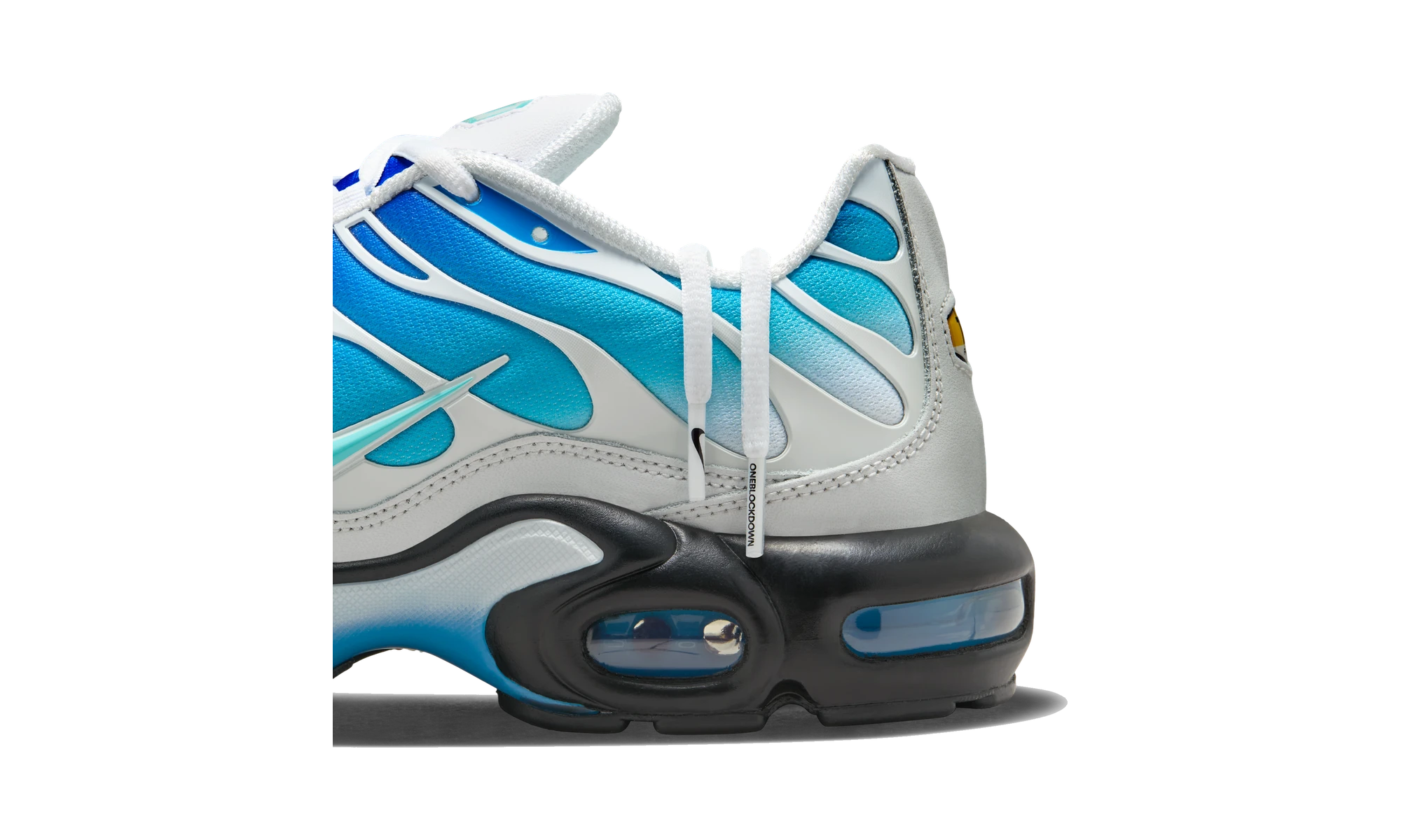 Nike Air Max Plus One Block Down Light Photo Blue