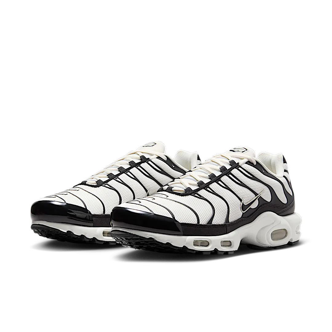 Nike Air Max Plus Panda, Phantom/Black/Reflective Silver (FV6264-001)