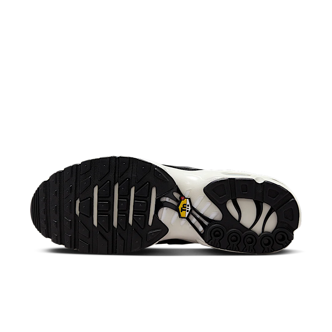 Nike Air Max Plus Panda, Phantom/Black/Reflective Silver (FV6264-001)