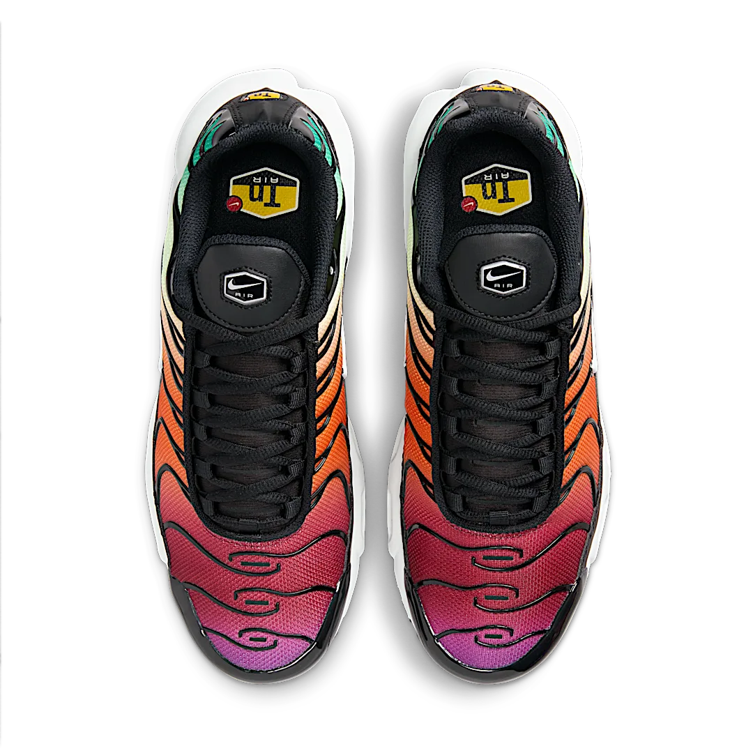 Nike Air Max Plus Rainbow