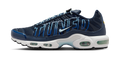 Nike Air Max Plus Tuned Air Obsidian