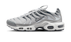 Nike Air Max Plus White Ashen Slate Metallic Silver