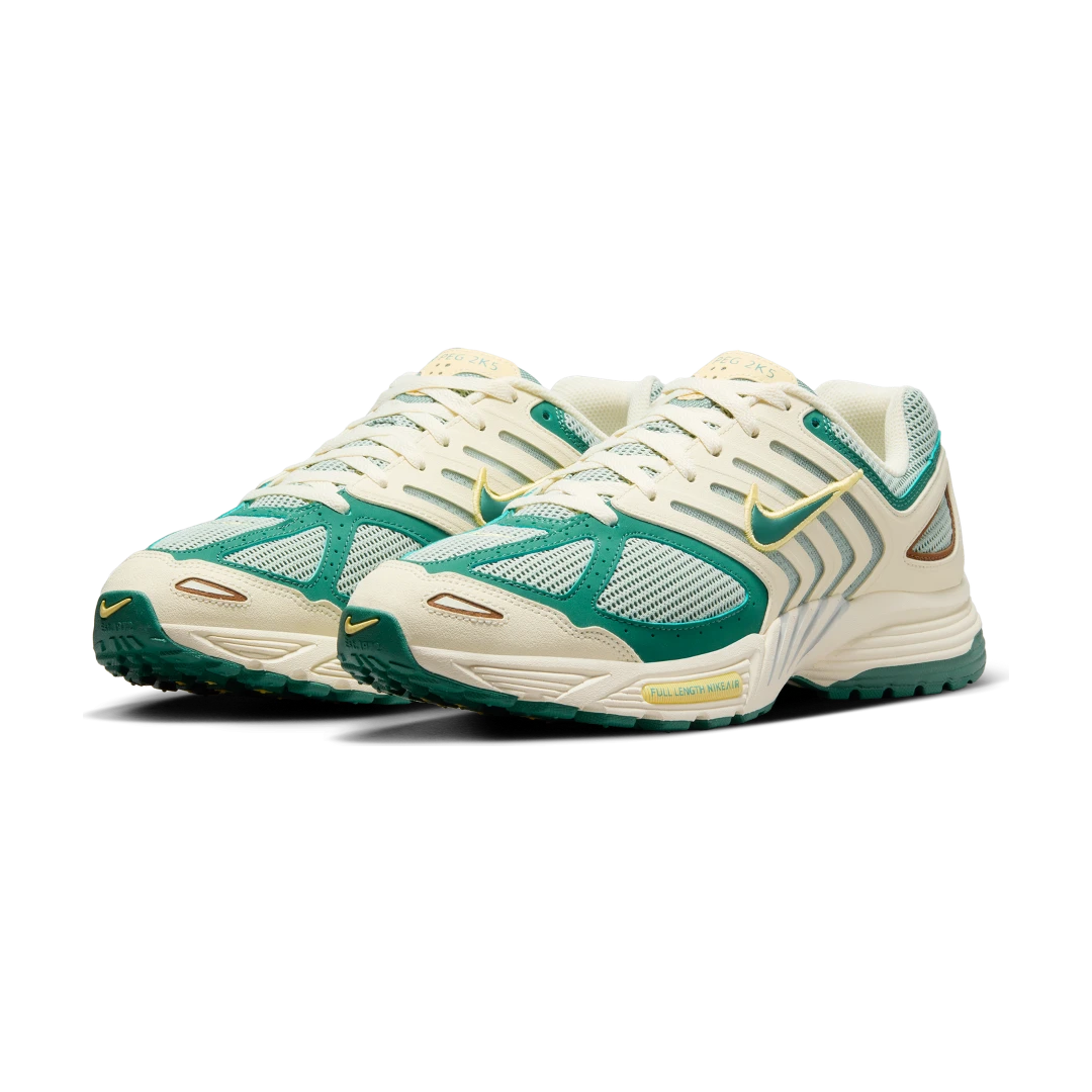 Nike Air Peg 2K5 Bicoastal