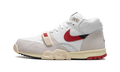 Nike Air Trainer 1 Split Chicago