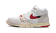 Nike Air Trainer 1 Split Chicago