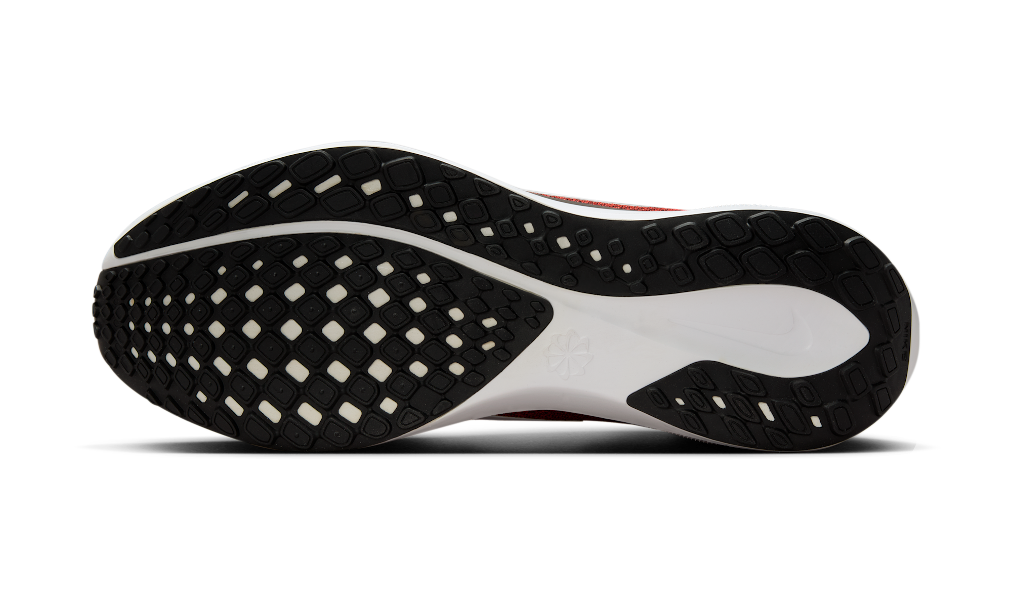 Nike Air Zoom Pegasus 41 Cleveland Browns (2025)