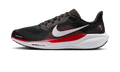 Nike Air Zoom Pegasus 41 Tampa Bay Buccaneers (2025)