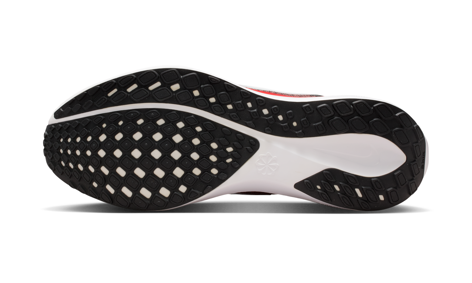 Nike Air Zoom Pegasus 41 Tampa Bay Buccaneers (2025)