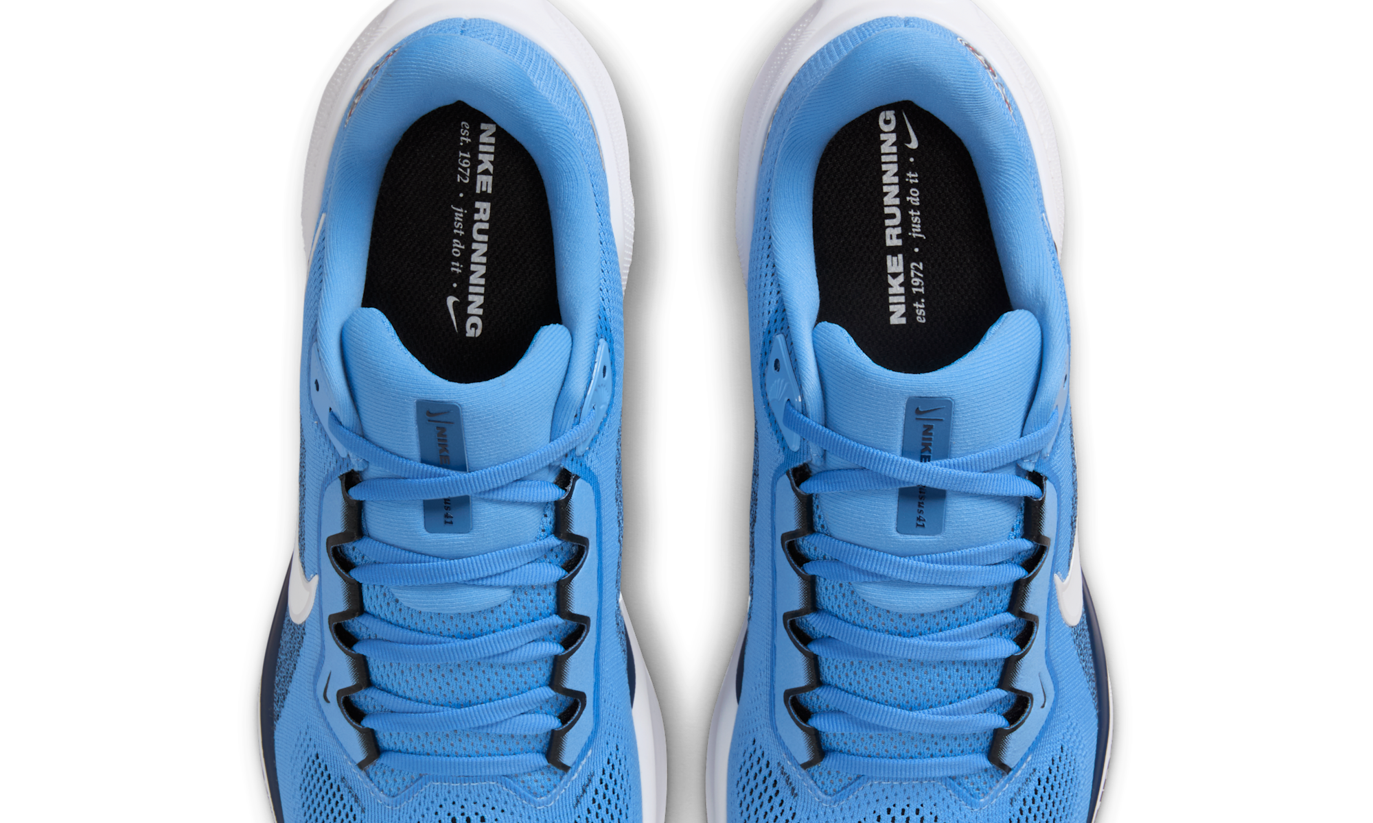 Nike Air Zoom Pegasus 41 Tennessee Titans (2025)