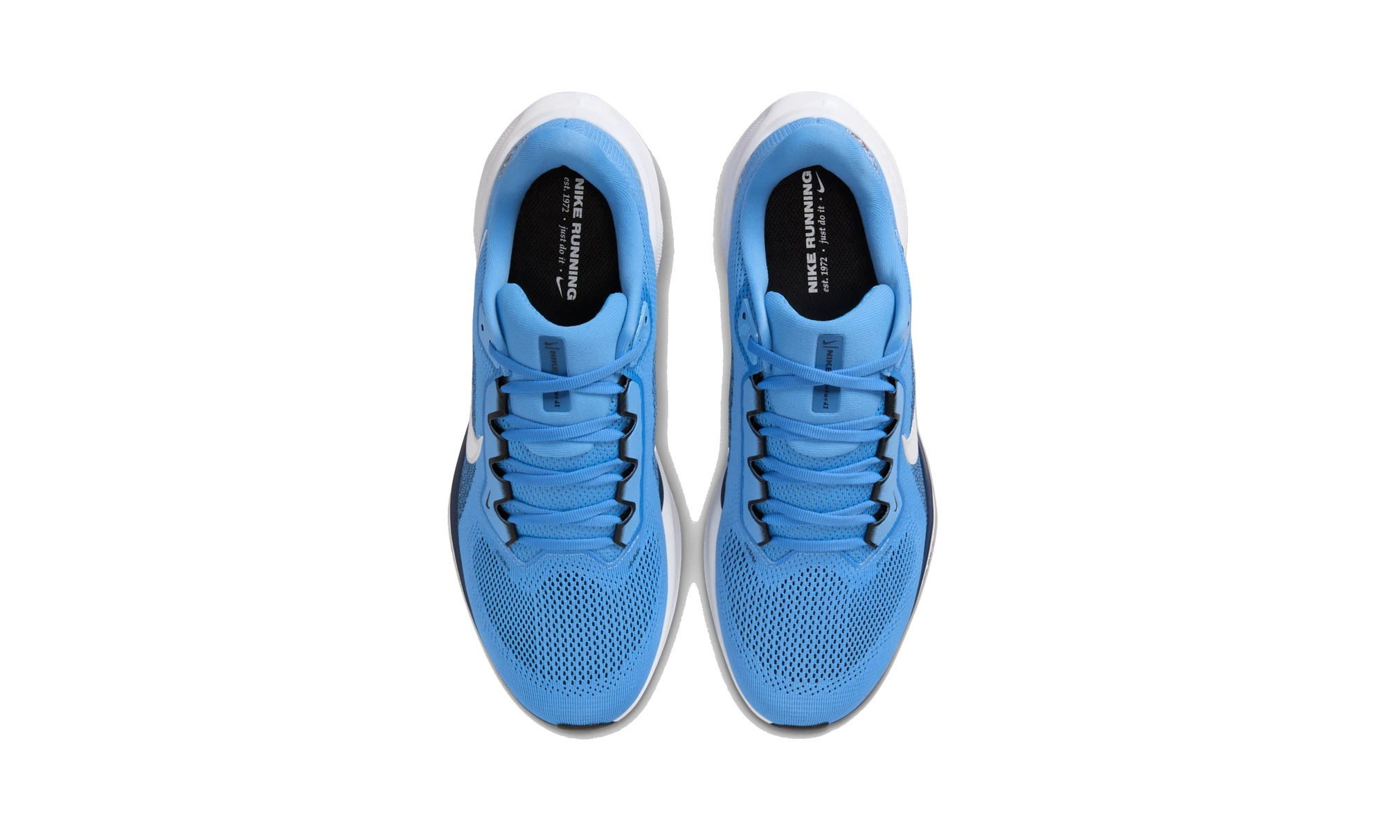 Nike Air Zoom Pegasus 41 Tennessee Titans (2025)