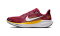 Nike Air Zoom Pegasus 41 Washington Commanders (2025)