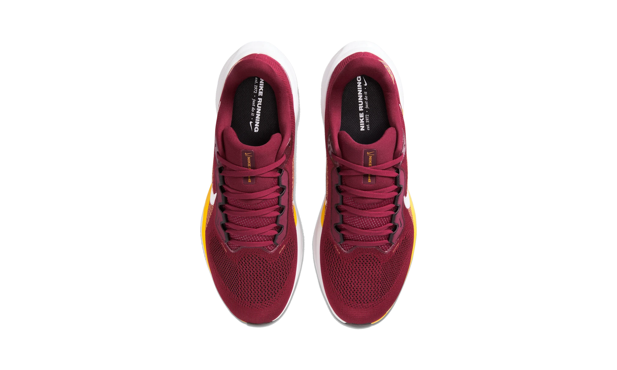 Nike Air Zoom Pegasus 41 Washington Commanders (2025)