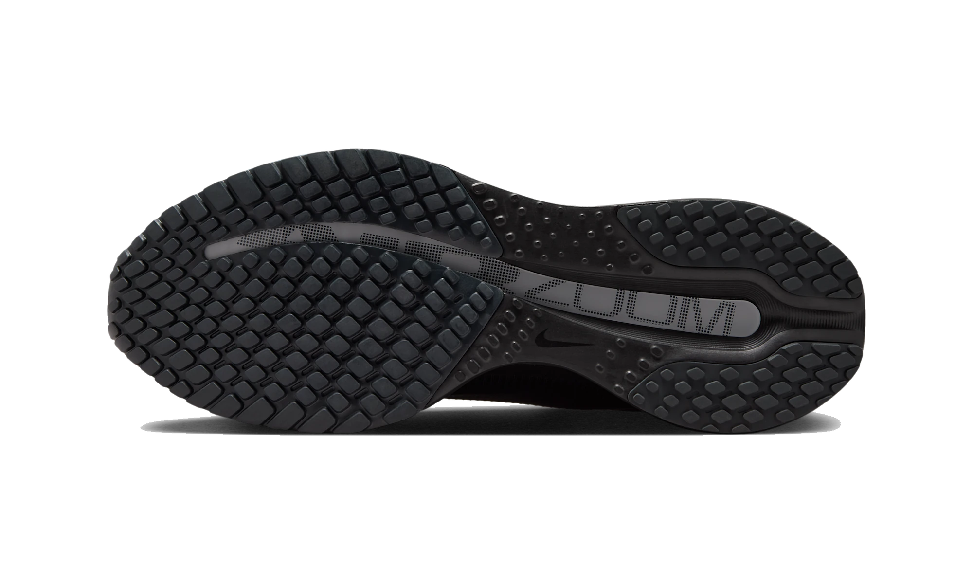 Nike Air Zoom Pegasus Premium SP Black Metallic Silver