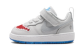 Nike Court Borough Low TD Pure Platinum