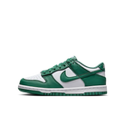 Nike Dunk Low Bicoastal, White/Bicoastal (HF4798-100)