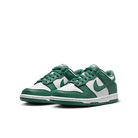 Nike Dunk Low Bicoastal, White/Bicoastal (HF4798-100)