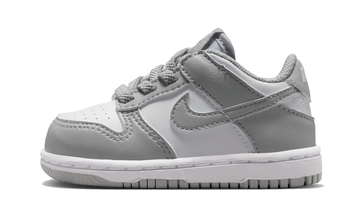 Nike Dunk Low Light Smoke Grey White (TD)
