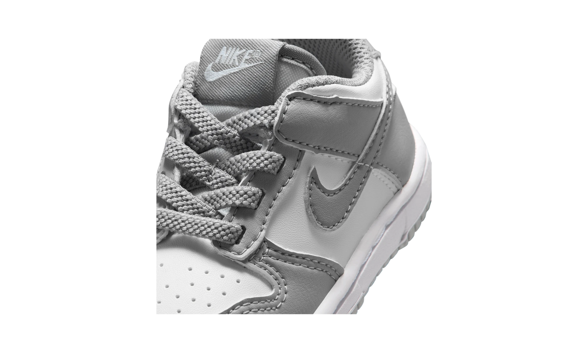 Nike Dunk Low Light Smoke Grey White (TD)